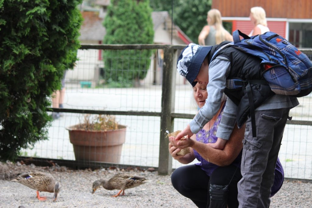 A woman is crouched in a pen with two ducks, holding bird seed in her cupped hand. A boy with a black vest, blue and white hat and blue plaid backpack is leaning over the woman and reaching for the birdseed in her hand.