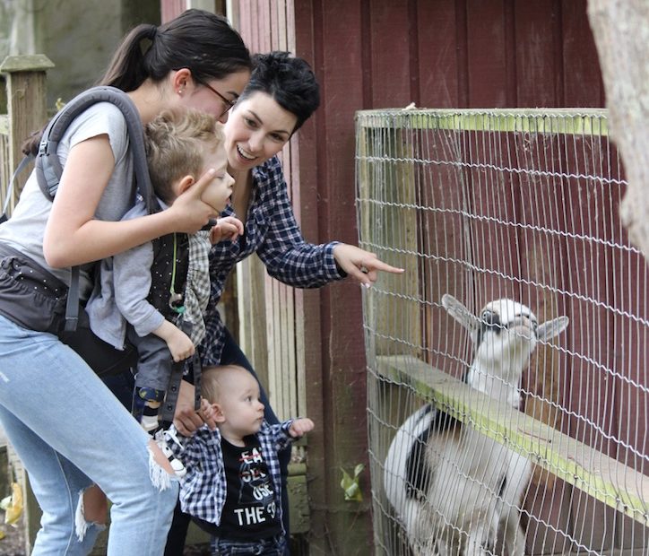 A woman with glasses and dark hair in a ponytail is wearing a grey t-shirt, blue jeans and a front pouch. A young boy with a grey sweater is in the pouch facing forward. The woman is supporting his head as he looks on at a white and black goat behind a fence in front of them. A woman to their left with short black hair and wearing a blue and white checkered shirt is looking at the boy, smiling and pointing to the goat. Below her is a younger boy standing on the ground wearing a blue and white checkered shirt who is also looking at the goat.