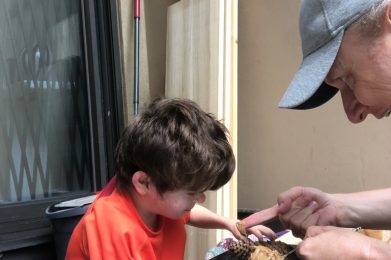 Photo of a boy with short brown hair wearing an orange t-shirt. A man with a denim ball cap is leaning over and facing him. The two of them are looking at a pinecone bird feeder and touching it.