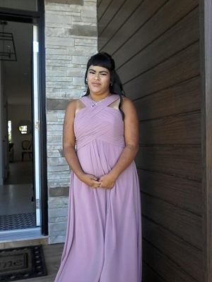 A young woman with long black hair wearing a sleeveless mauve evening gown is posing for the camera.